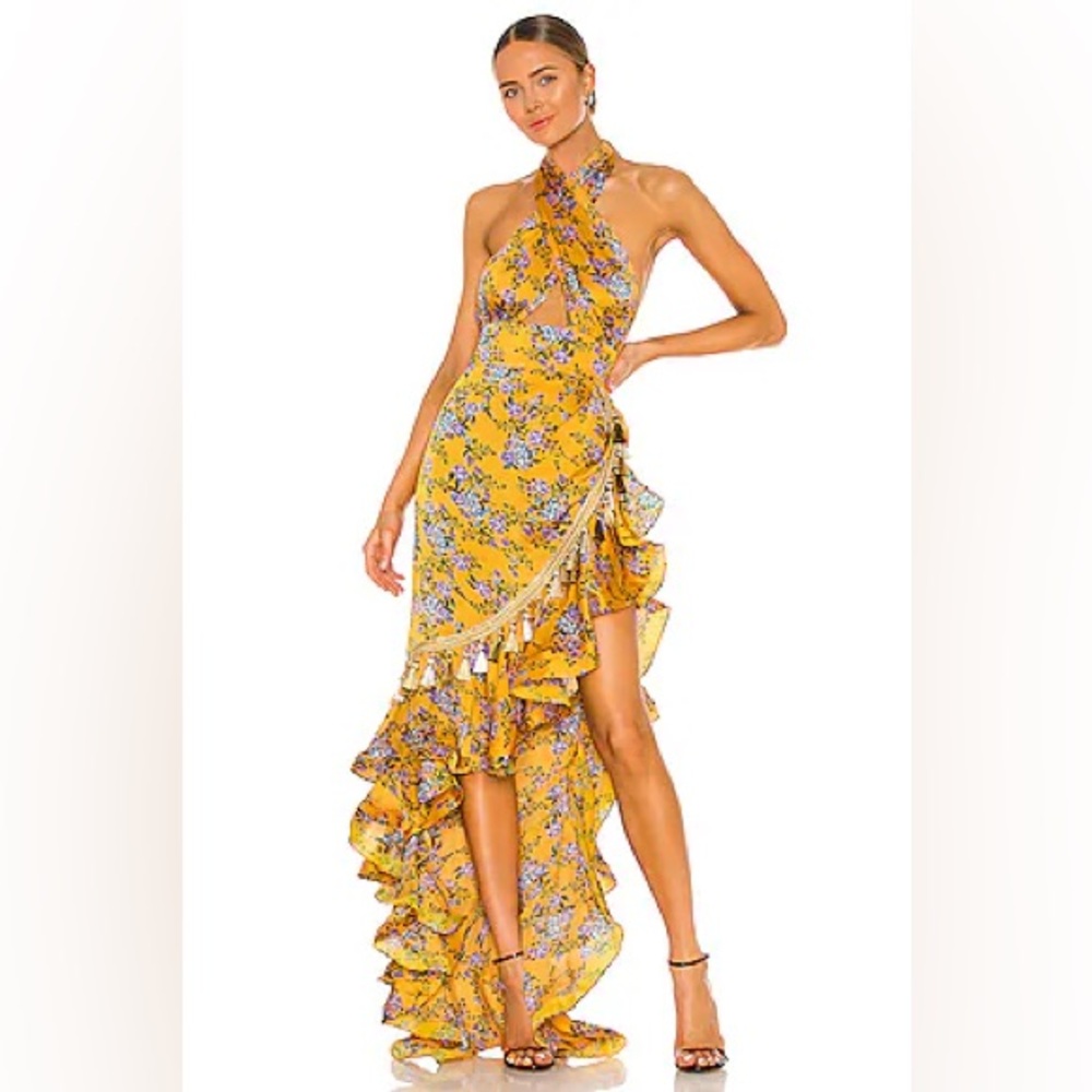 BNWT Bronx & Banco Brenna Maxi Gown Dress AUS 6, US 0 2 or XS ruffle floral